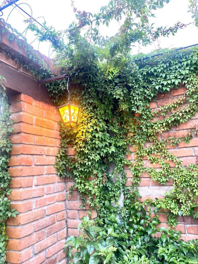 Entre Tejas Apartment Concepción de Ataco Екстериор снимка